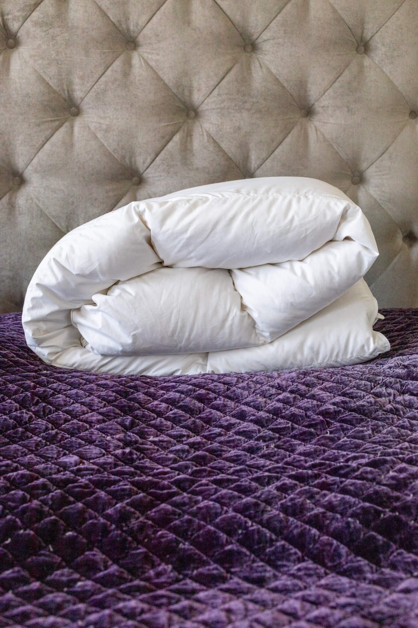 Dream Comforters
